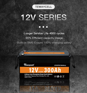 ソーラーシステム用リチウムイオン電池充電式12v 24v 48v 100ah 200ah Lifepo4バッテリー - Product Image 4