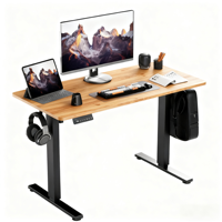 Escritorio Eléctrico Ergonómico de 1.6M/63 Pulgadas y 110KG/242LB de Capacidad, Escritorio Elevador de Doble Motor con Altura Ajustable para Oficina en Casa