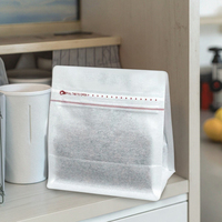 JNH Pochette debout scellée à huit côtés Sac à café en métal givré étanche à l'humidité pour café, nourriture pour animaux de compagnie et gelée