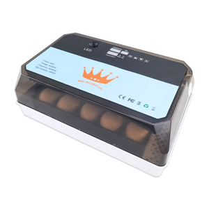<span class=keywords><strong>Incubateur</strong></span> automatique 15 œufs, neuf, en PP, pour usage domestique, mini, polyvalent pour poulets, canards, oies et autres oiseaux, format valise/œufs - Product Image 6