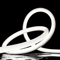 Tube lumineux néon en silicone sans points à 360 degrés D22, couleur unique, étanche IP67, bande LED flexible pour éclairage de façade