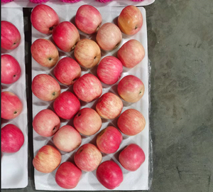 Chất lượng hàng đầu táo đỏ Fuji táo mật ong ngon ngọt với hương vị giòn giá thấp - Product Image 4