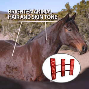 Thérapie complète du corps équin <span class=keywords><strong>Solarium</strong></span> thérapie par lumière infrarouge rouge équine pour cheval - Product Image 5