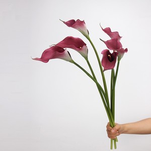AR-1007 zuoyi bất động cảm ứng EVA <span class=keywords><strong>Calla</strong></span> Lily hoa đầu duy nhất nhân tạo <span class=keywords><strong>Arum</strong></span> <span class=keywords><strong>Calla</strong></span> Lily hoa để bán - Product Image 3