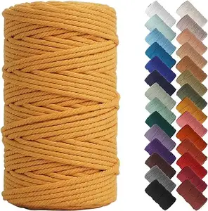 100米Macrame绳3毫米绞合棉绳编织线多色线，用于Macram绳编织棉