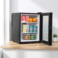 Mini réfrigérateur de haute qualité 40L, réfrigérateur thermoélectrique 40L, refroidisseur silencieux