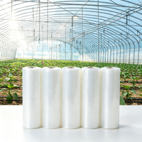 Film plastique pour serre, stabilisé aux UV, anti-vieillissement, anti-condensation, taille personnalisée pour la culture de légumes en serre
