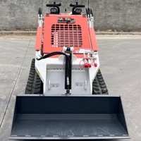 Mini bulldozer diesel à moteur essence, nettoyage, chargement de fumier, tri de fourrage, chargeuse compacte à bas prix en Chine, livraison gratuite