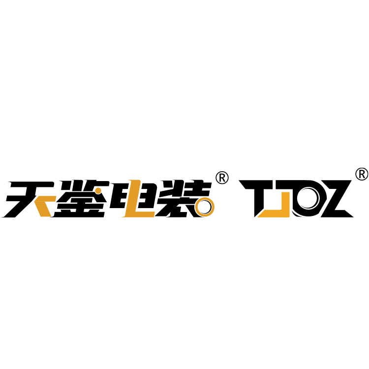 Guangdong Tianjian Automotive Technology Co., Ltd. logo