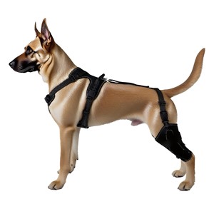 Attelle de genou réglable pour chien avec support métallique pour soulager l'arthrite et les lésions des ligaments croisés antérieurs et postérieurs, protection double pour les pattes - Product Image 2