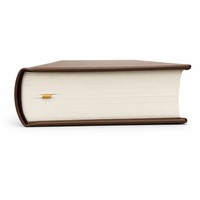 Carnet personnalisé à dos rond en cuir, reliure de luxe, couverture rigide pour cadeaux d'entreprise