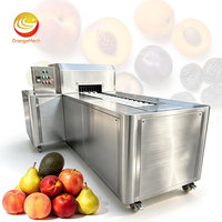ORME Sus304 Kersen-Avocado-ontpittermachine Kleine Automatische Gedroogde Dadel-Abrikoos-Pruimen Ontpitmachine Prijs