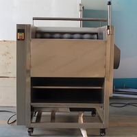 Groenten En Fruit Automatische Industriële Aardappel Gember Lotuswortel Papaja Zoete Aardappel Was-En Schilmachine
