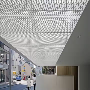 Panneau <span class=keywords><strong>de</strong></span> treillis métallique galvanisé <span class=keywords><strong>de</strong></span> 2 mm d'épaisseur, perforé, décoratif, soudé, résistant à la corrosion, pour façade JoyLink - Product Image 3