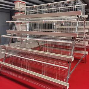 Nouvelles cages à poules pondeuses automatiques de type H à trois niveaux, de haute qualité et <span class=keywords><strong>au</strong></span> juste prix, avec alimentation et abreuvement automatiques - Product Image 3