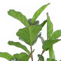 OH ARTS Factory Plantes artificielles en plastique, Ficus lyrata en pot, Faux Ficus en pot, Décoration extérieure, Type palmier pour la maison
