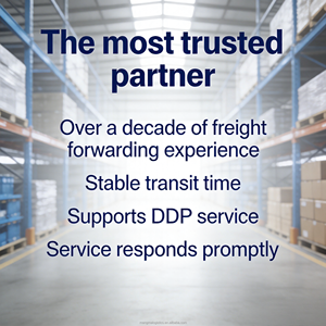 Морские перевозки из Китая в Южную Африку, Великобританию, США, Францию, Германию, ЕС, Саудовскую Аравию, ОАЭ, Новую Зеландию, Австралию. Экспедитор, агент по доставке, доставка от двери до двери по сервису DDP. - Product Image 4