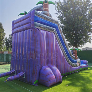Tobogán Inflable con Diseño de Palmera para Jardín, Tobogán Acuático Gigante Inflable para Niños y Adultos - Product Image 4