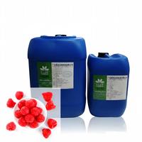 Concentré Super Concentré Saveur Framboise Douce – Meilleure Vente pour l'Industrie du Tabac à Chicha