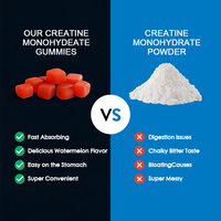 Bonbons gélifiés à la créatine monohydrate halal pour adultes, renforcement musculaire, stimulation énergétique, soutien électrolytique, complément sportif, 60 unités