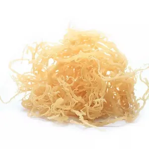 Cheap Price healthcare supplements irish sea moss organic raw irish gel sea moss supplement sea moss gel bulk