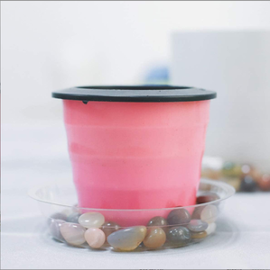 6 8 10 12 pollici di dimensioni Clear Plant piattino gocciolamento vassoi in plastica <span class=keywords><strong>per</strong></span> vasi di fiori vassoio vaso di fiori - Product Image 5
