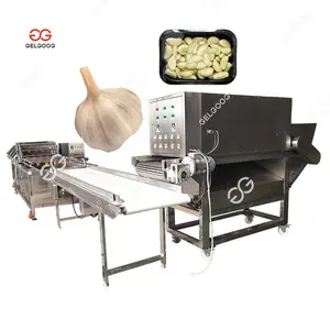 Commercial Electric Onion Peeling Machine Price Cleaning And Drying Peeled Garlic Full Line Of Production
