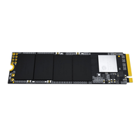 SSD M.2 NVMe Interne Haute Vitesse 256 Go/512 Go/1 To pour PC Portable et Ordinateur de Bureau