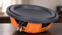 Subwoofer SPL Modèle Exclusif 10 Pouces Double Bobine pour Voiture, Puissance RMS 250W, Puissance de Pointe 500W, Audio Automobile Prix Usine