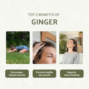 Huile de gingembre thérapeutique pour la perte de poids, la combustion des graisses abdominales, la croissance des cheveux, le massage corporel, le soulagement de la douleur, vente en gros, fabricant en vrac, marque privée - Product Image 2