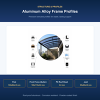 Auvent de voiture imperméable avec structure en aluminium et toit en polycarbonate pour abri de jardin ou allée