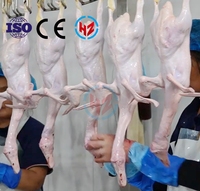 Cadre de traitement portable pour poulets et canards Haoze |   900-15000BPH |   Système d'abattage clé en main |   Roulement de moteur pour l'élimination des plumes