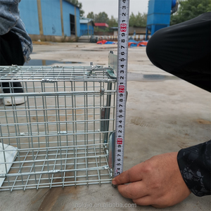 Đóng mở Bắt Chim Pigeon bẫy Lồng cho tái sử dụng <span class=keywords><strong>Bird</strong></span> lồng bẫy - Product Image 4