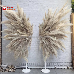 <span class=keywords><strong>Ali</strong></span> d'<span class=keywords><strong>Angelo</strong></span> in Pampas a Prezzo Conveniente, Sfondo con <span class=keywords><strong>Ali</strong></span> di Pampas, <span class=keywords><strong>Ali</strong></span> di <span class=keywords><strong>Piume</strong></span> d'<span class=keywords><strong>Angelo</strong></span> a Prezzo Economico, Vendita all'Ingrosso per Feste - Product Image 2