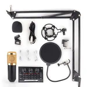 Low Price Supply Podcast Microphone For Recording Karaoke Microphone With Speaker Bm-800 Microphone Stands