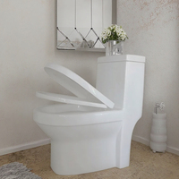 Cuvette de toilette monobloc de luxe à double chasse avec système de lavage par aspiration, design compact pour hôtels et salles de bain