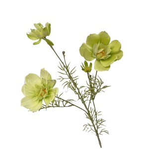 Bouquet de marguerites artificielles en soie, fleurs blanches, haute simulation, décoration de mariage - Product Image 5