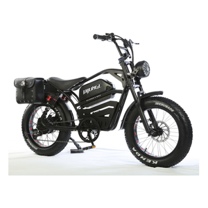Offres Spéciales de stock d'Ouzbékistan 20 ''Fat E-bike 350W 500W Retro Enduro 7 vitesses <span class=keywords><strong>vélo</strong></span> <span class=keywords><strong>électrique</strong></span> pour adultes VTT <span class=keywords><strong>électrique</strong></span> - Product Image 2