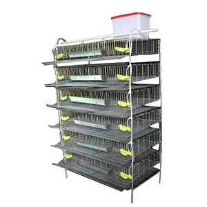 Automatic design layer quail cages / commercial quail layer cage for sale H quail cage