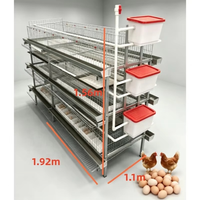 Système de cage à volailles en forme de H galvanisé haute résistance pour poules pondeuses, cailles et petits oiseaux dans les fermes commerciales
