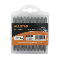 All Star Vente directe d'usine TS2 Matériel 20Pcs Jeu d'embouts de tournevis TS2 Jeu d'outils de tournevis à écrous