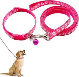 Manufacturer Wholesale Multi-colors Nylon Adjustable <b>Dog</b> Collar and <b>Leash</b> Set - Product Image 1