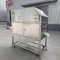 Machine à écailler le poisson à vendre – Écailleuse industrielle pour saumon, truite arc-en-ciel, dorade, snapper rouge, tilapia, carpe – Équipement de traitement du poisson