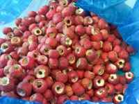 2026 Nieuw Ontwerp Fabriek Gedroogde Meidoornbes Originele Smaak Geconserveerd Gezonde Casual Knapperige Snacks