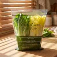 Bolsas Trapezoidales Transparentes de CPP con Cierre de Alambre, Sellado Térmico e Impresión de Logotipo Personalizado para Envasado de Frutas y Verduras