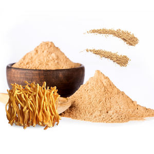 Cordyceps Militaris özü tozu polisakkaritler mantar enerji formülü - Product Image 2