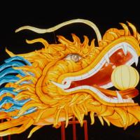 Lanterne Animale Poisson Dragon du Nouvel An Chinois, Faite à la Main, Étanche, Décoration Murale Extérieure, Décorations de Fête