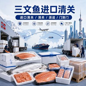 Dédouanement de la saumonée importée de Norvège vers la Chine, logistique de la chaîne du froid, expédition express LCL - Product Image 1