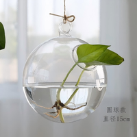 Vase en verre en forme de goutte d'eau, terrarium suspendu, support pour plantes aériennes, bouteille hydroponique, récipient, décoration de jardin, cadeau