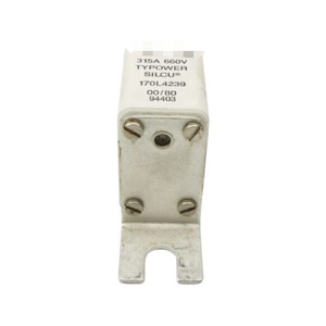 170L4239 660V 315A Nuevo controlador de programación PLC de automatización industrial de almacén listo original - Product Image 1